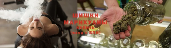 шишки Аркадак